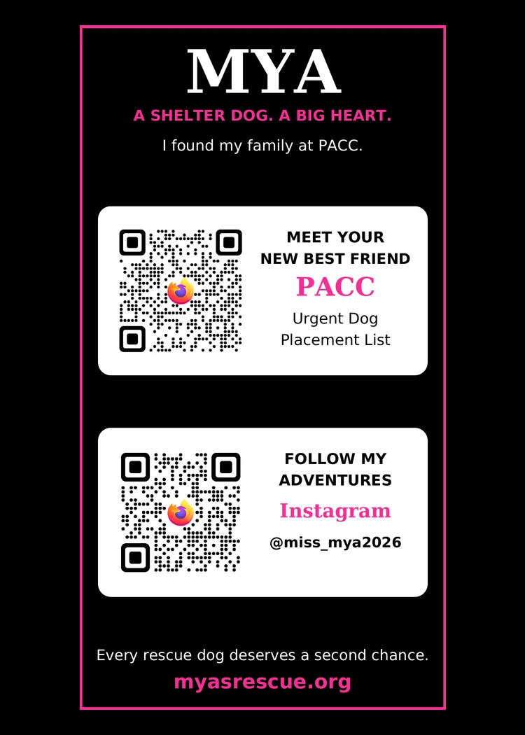 Mya’s trading card, back
