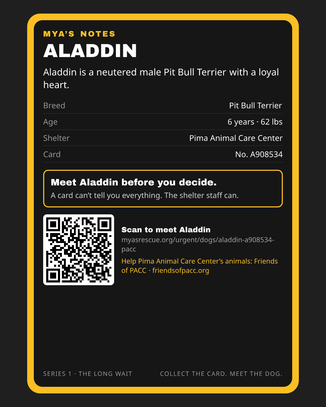 Aladdin’s trading card, back