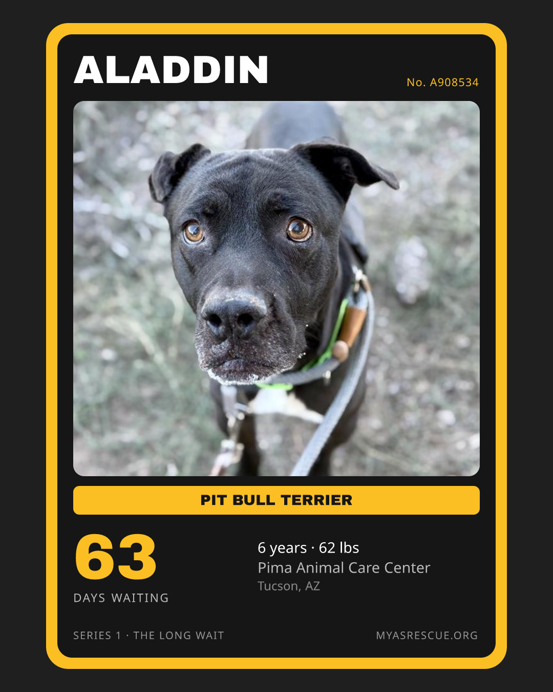 Aladdin’s trading card, front