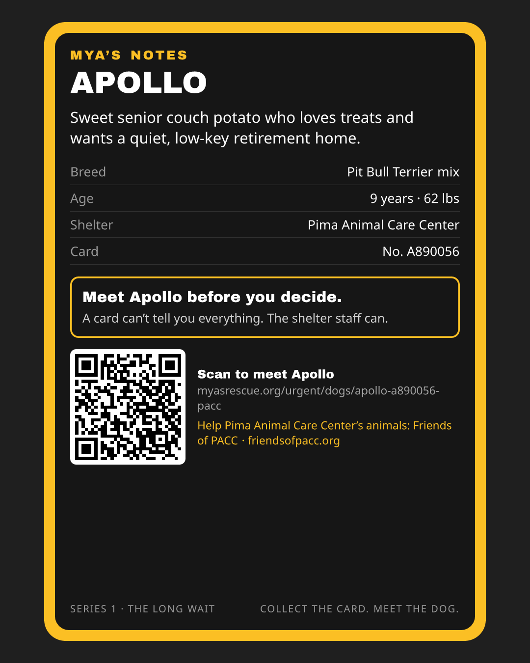 Apollo’s trading card, back