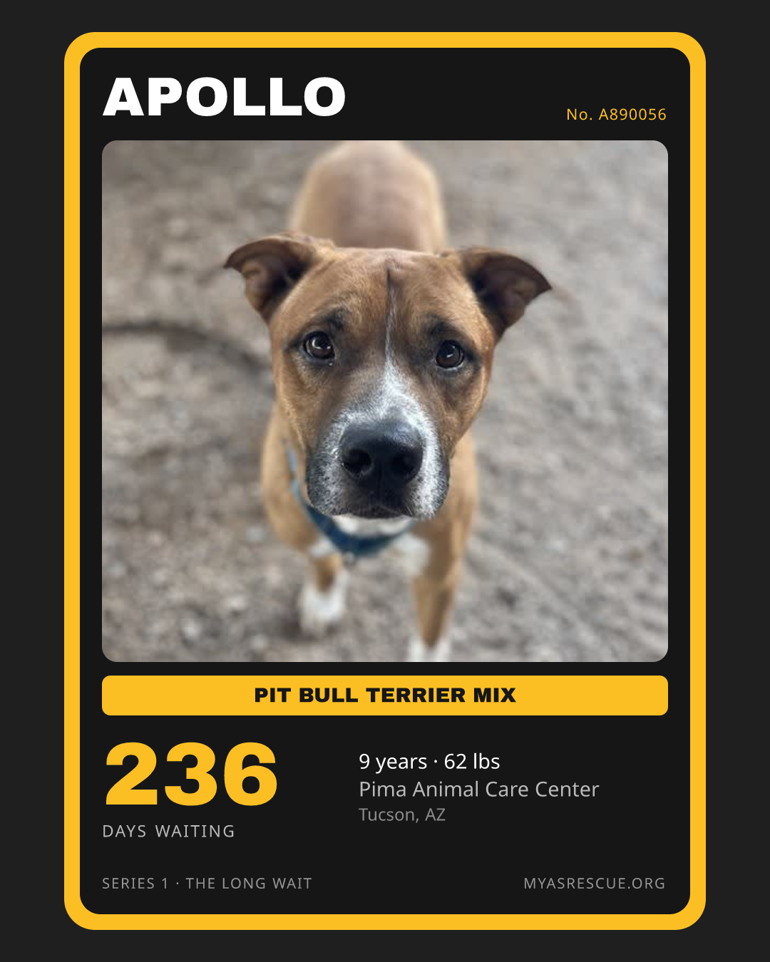 Apollo’s trading card, front