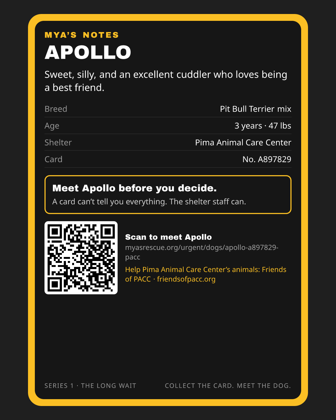 Apollo’s trading card, back