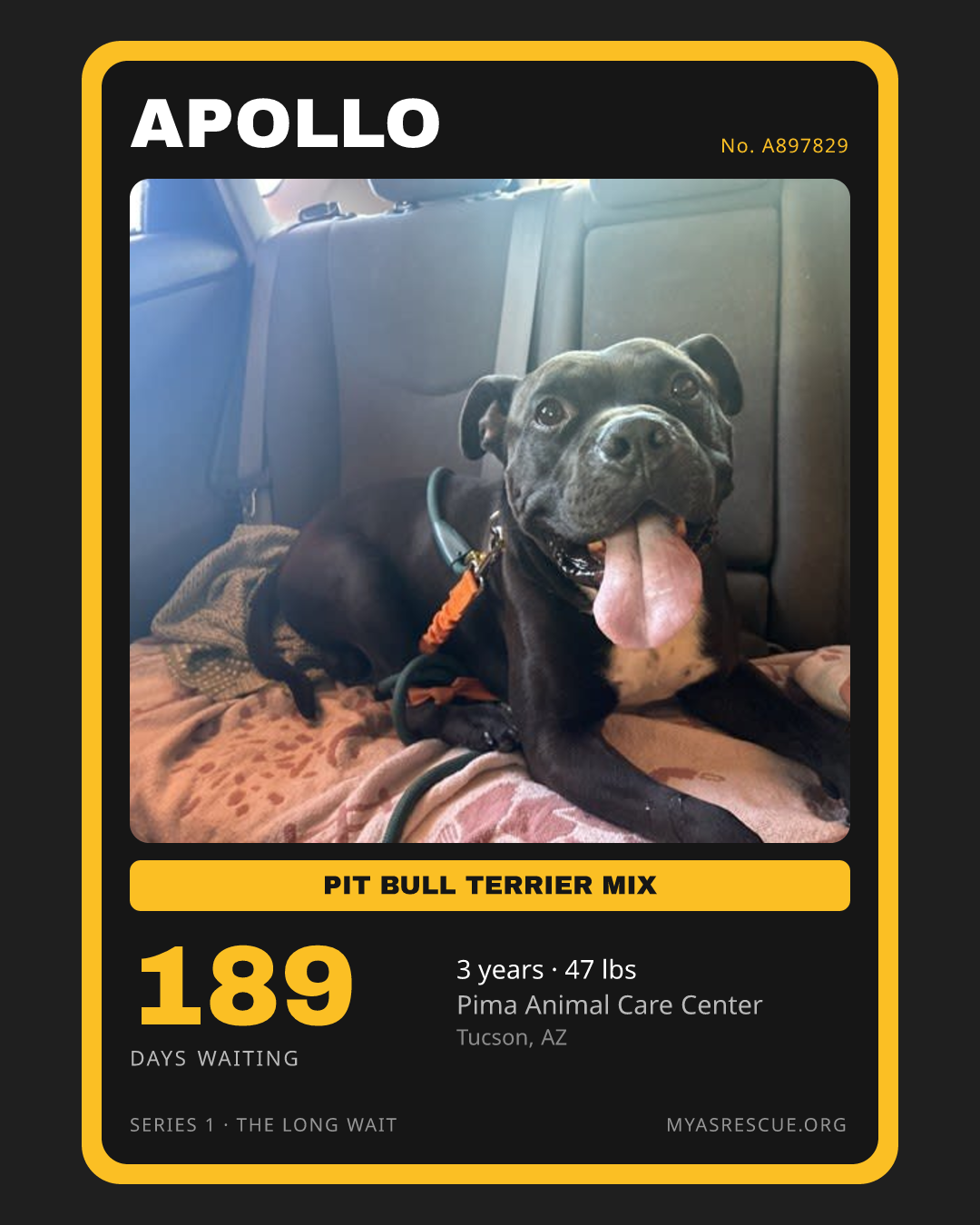 Apollo’s trading card, front