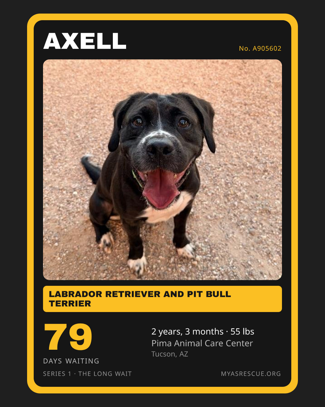 Axell’s trading card, front