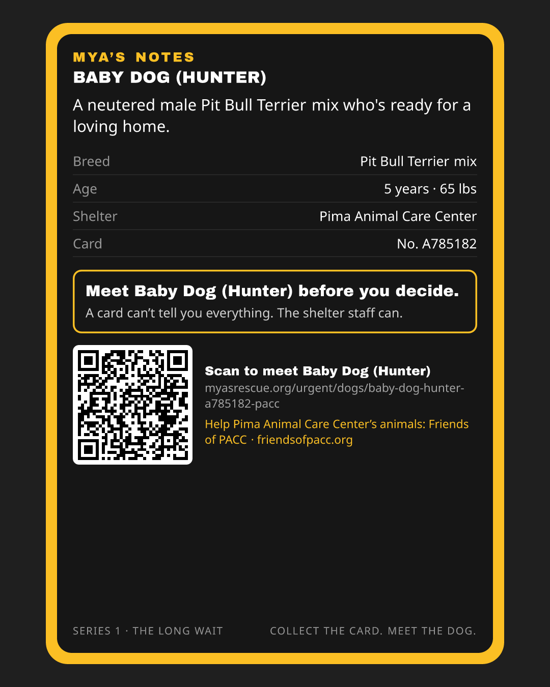Baby Dog (Hunter)’s trading card, back