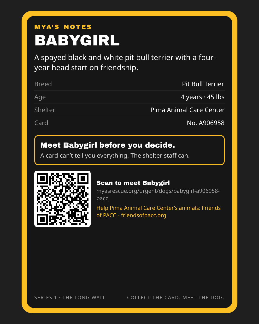 Babygirl’s trading card, back
