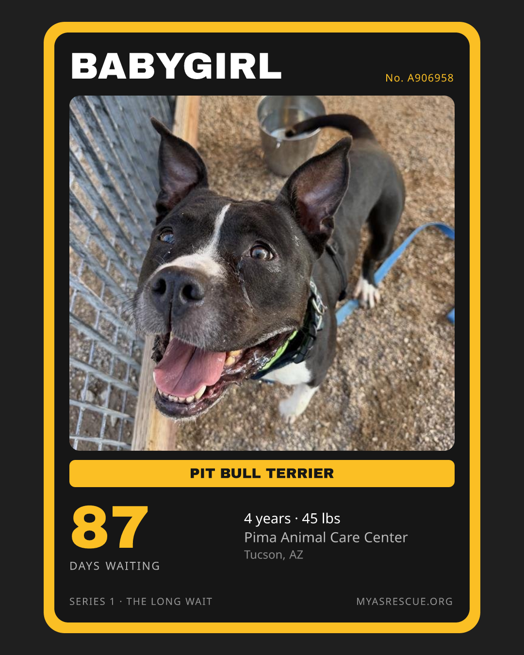 Babygirl’s trading card, front