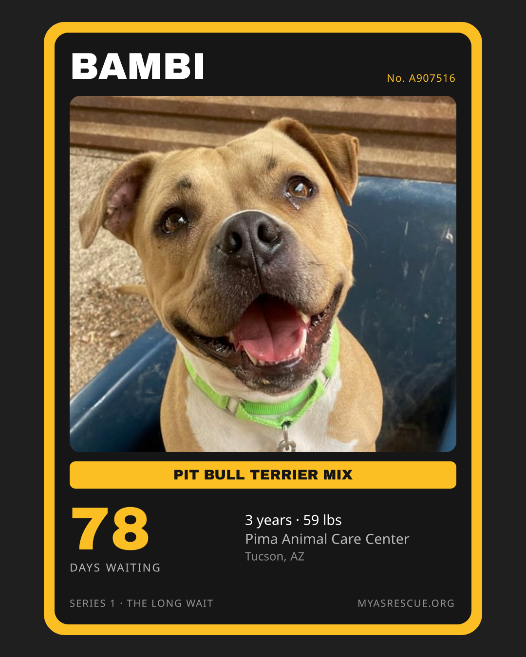 Bambi’s trading card, front