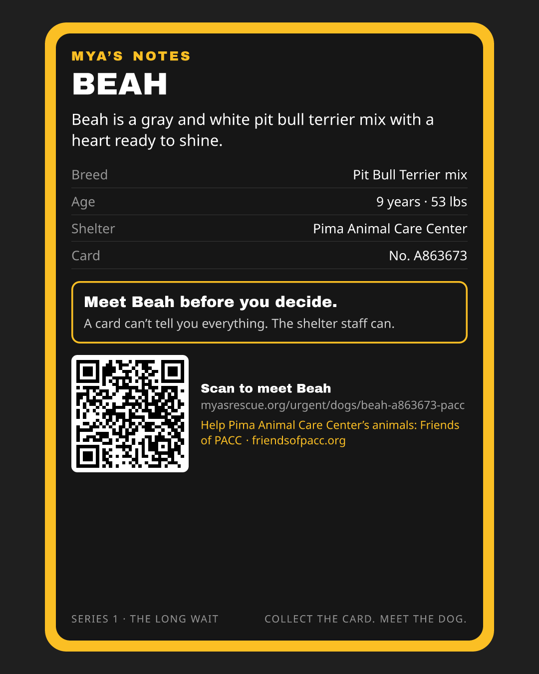 Beah’s trading card, back