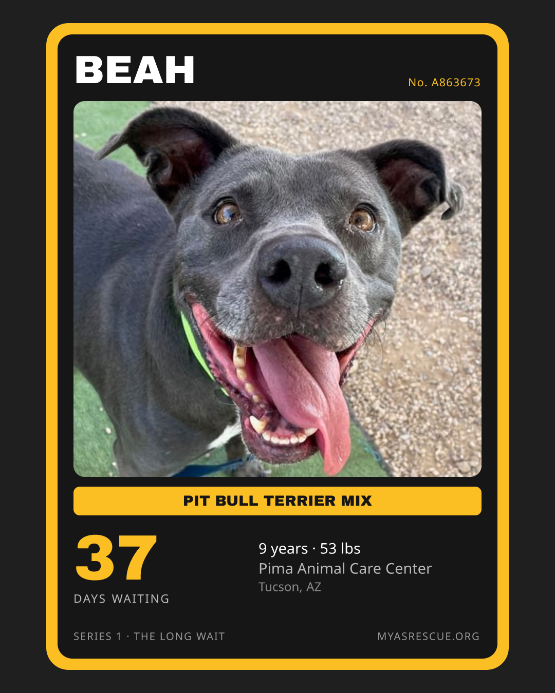 Beah’s trading card, front