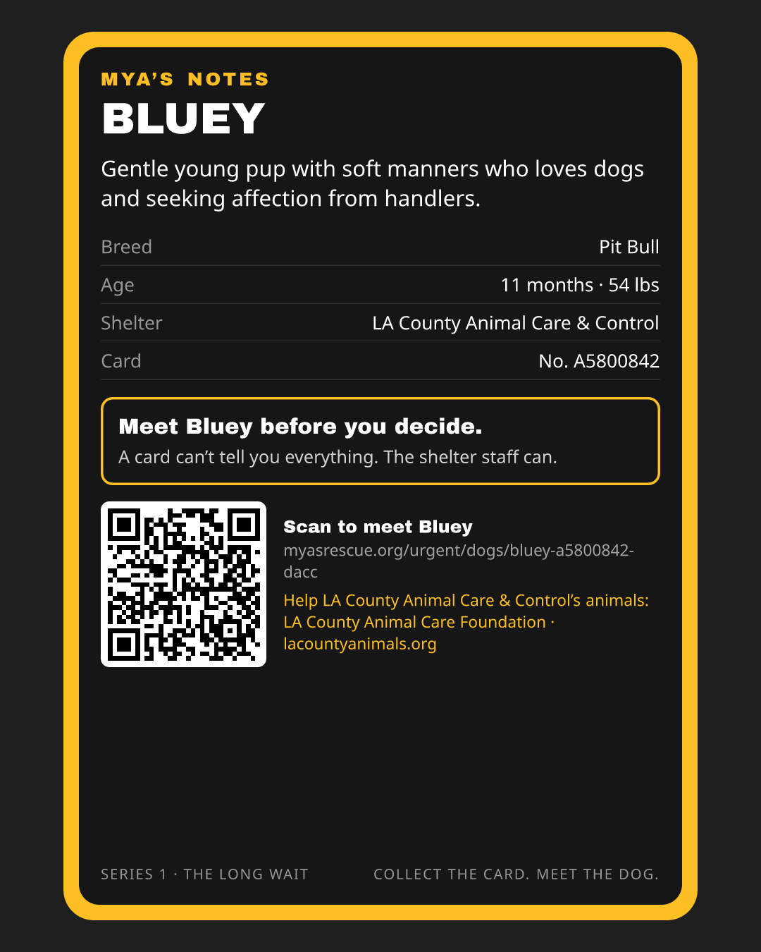 Bluey’s trading card, back