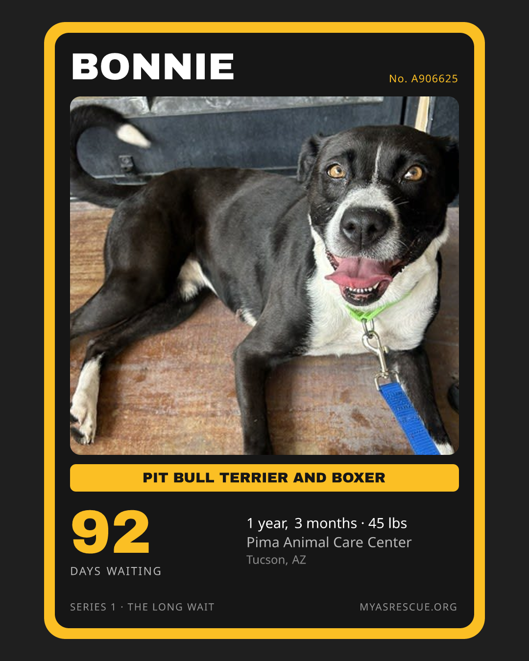 Bonnie’s trading card, front