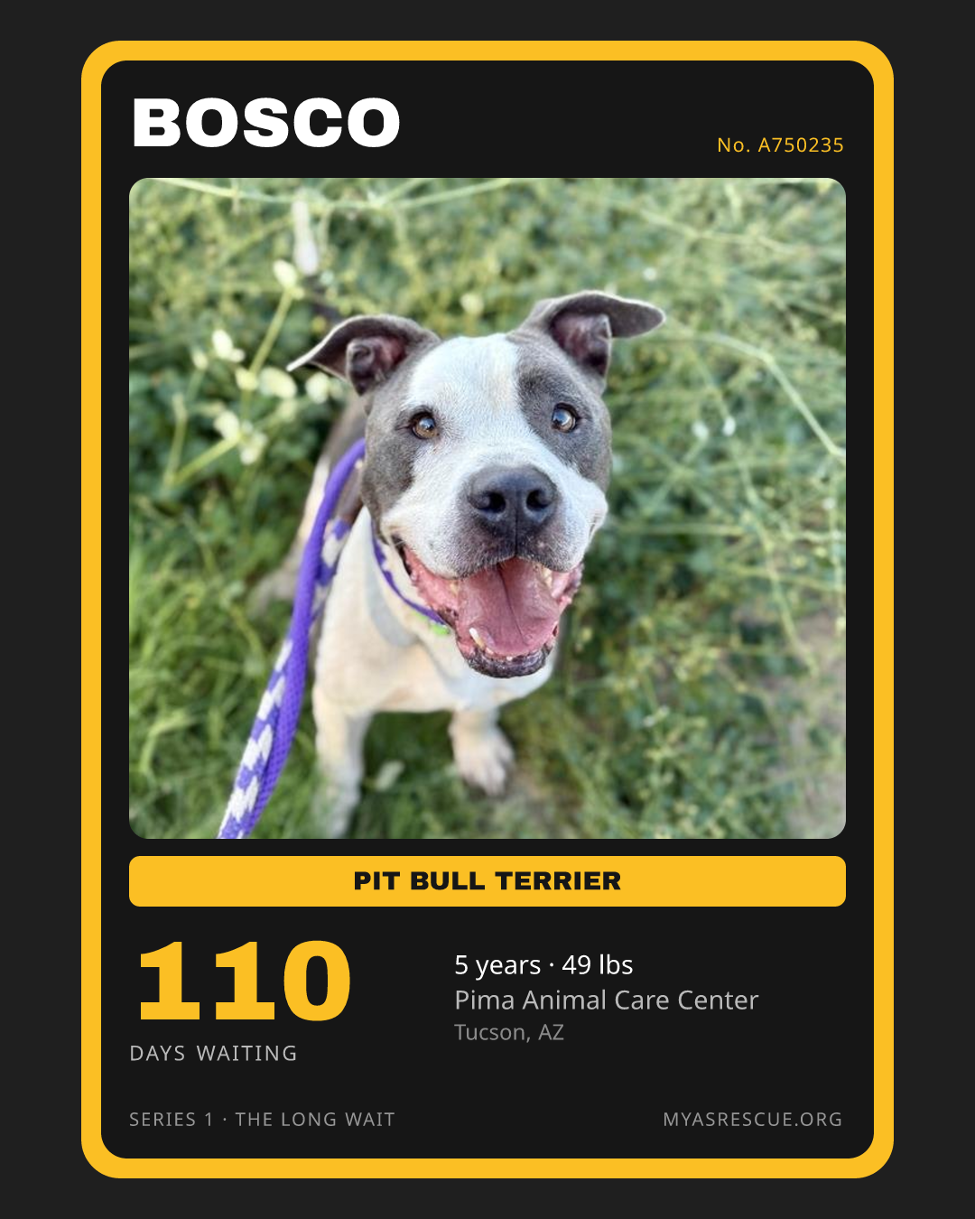 Bosco’s trading card, front
