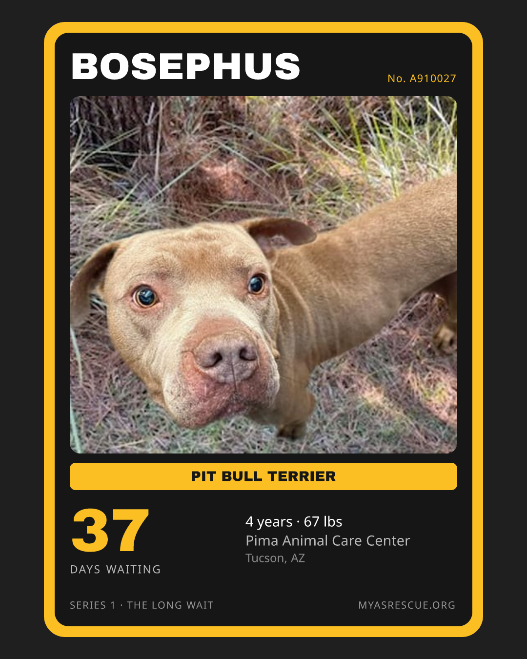 Bosephus’s trading card, front