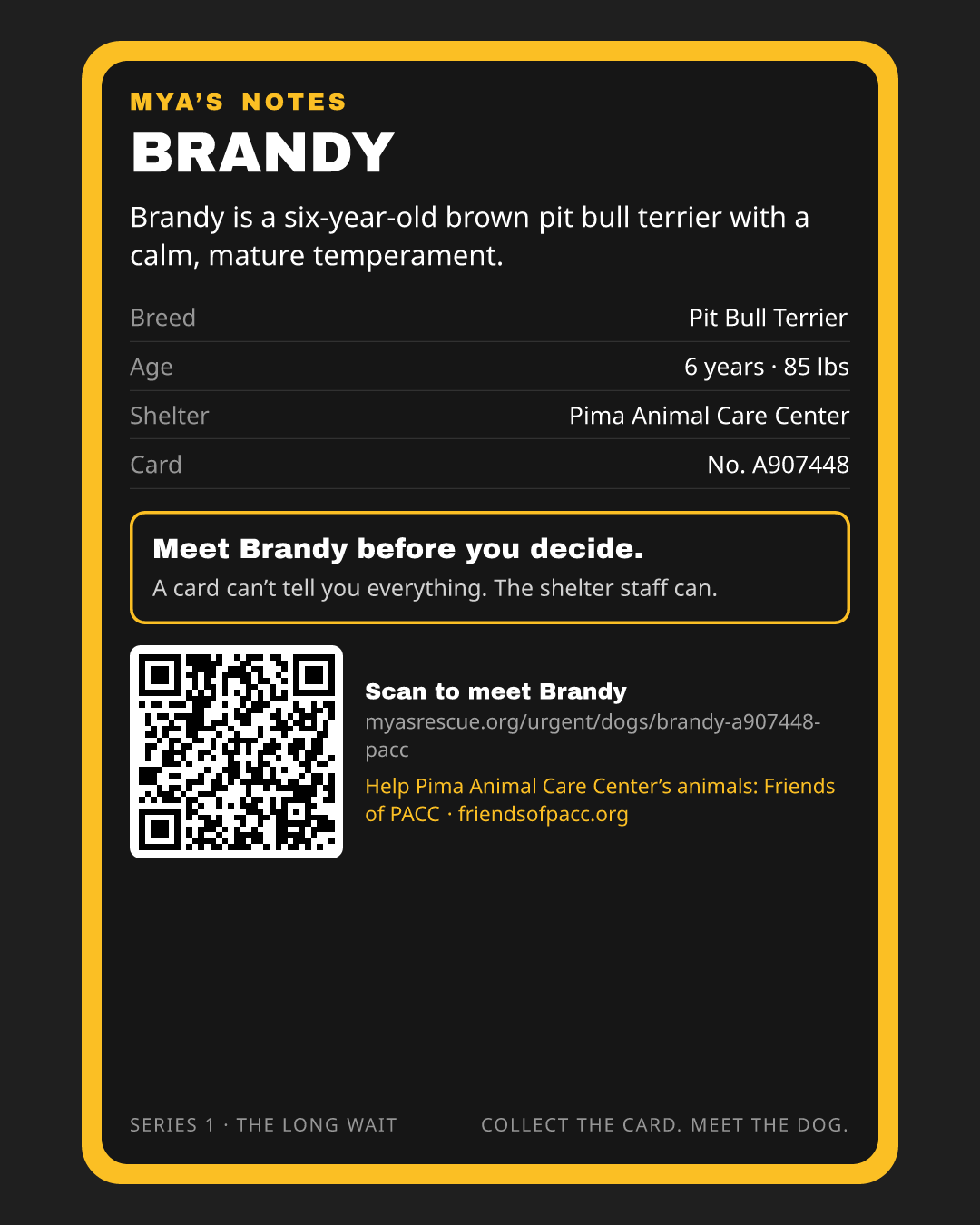 Brandy’s trading card, back