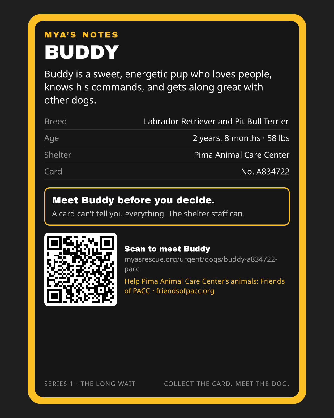 Buddy’s trading card, back