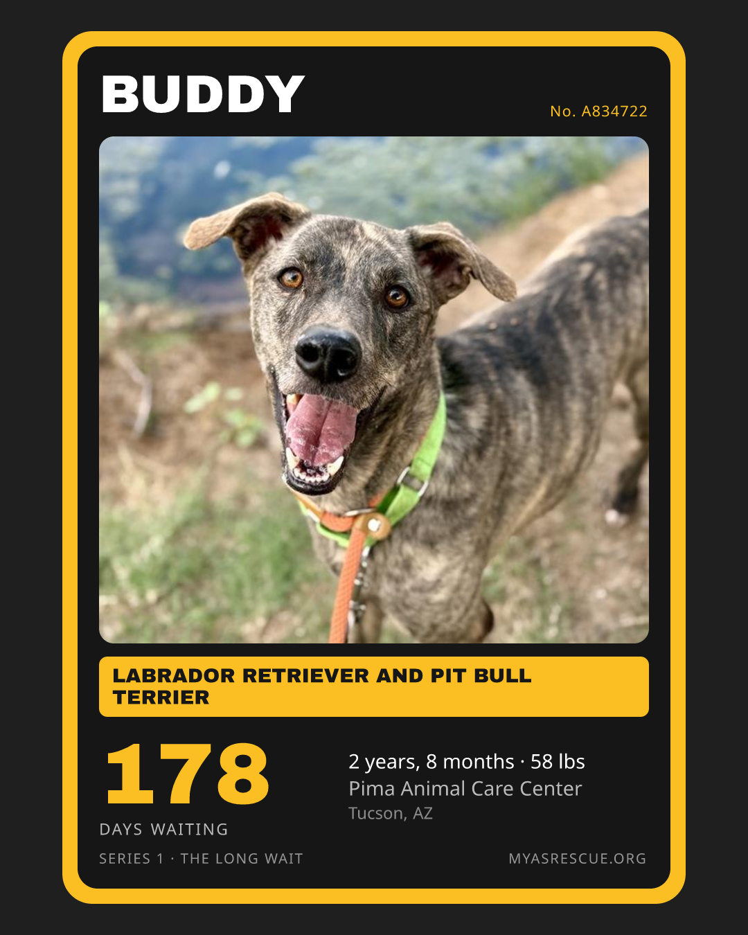 Buddy’s trading card, front