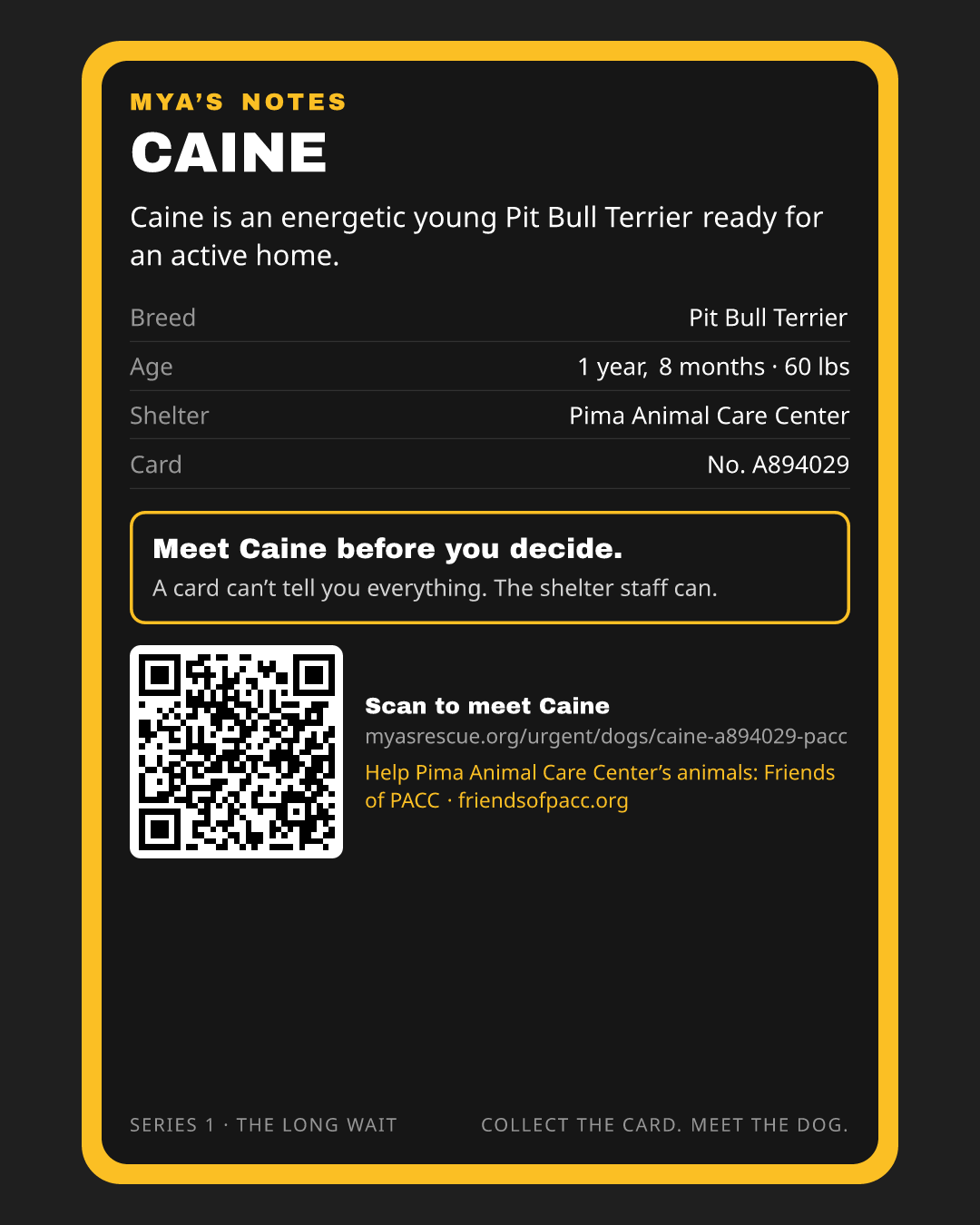 Caine’s trading card, back