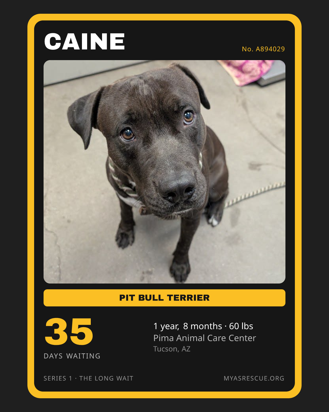 Caine’s trading card, front