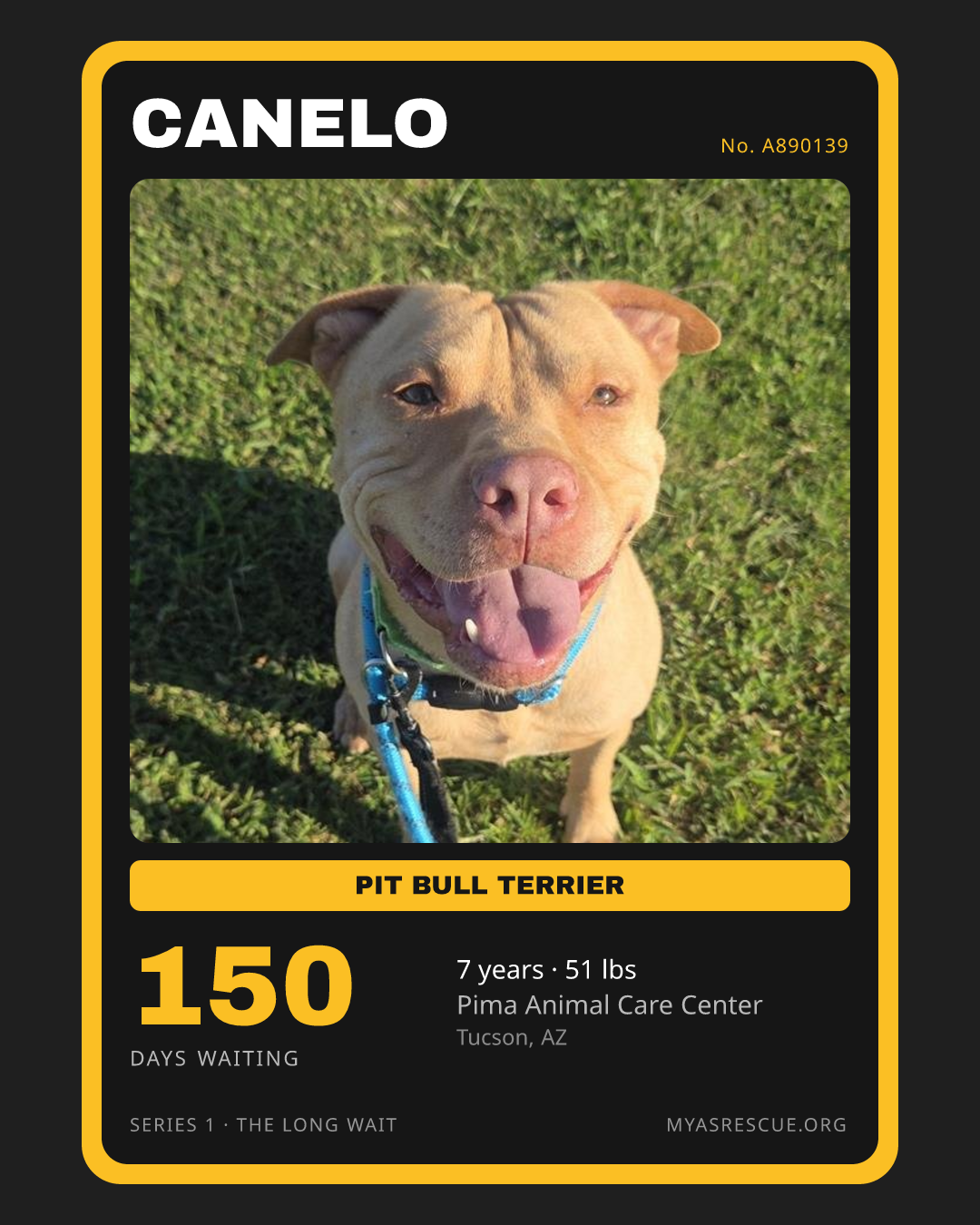 Canelo’s trading card, front