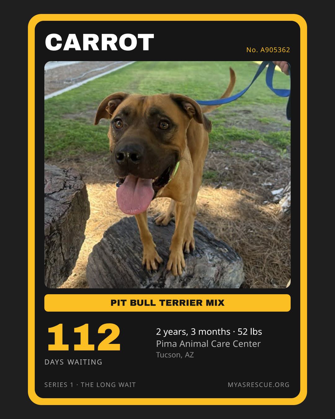 Carrot’s trading card, front