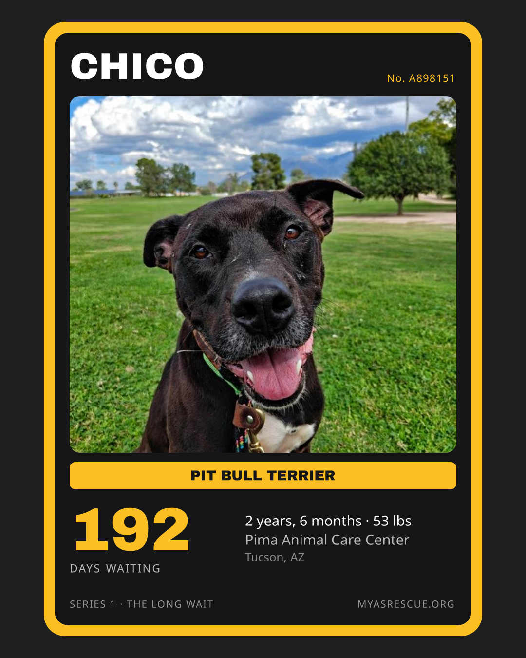 Chico’s trading card, front