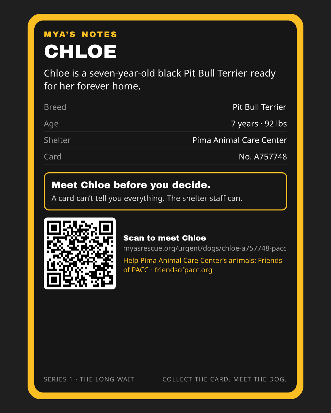 Chloe’s trading card, back