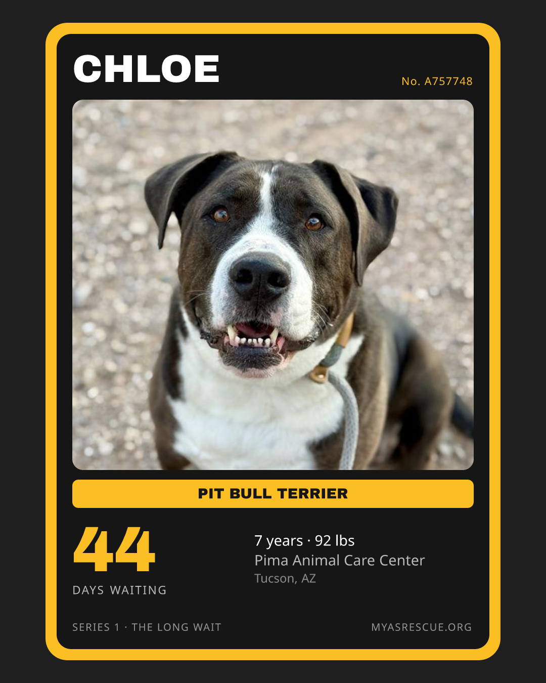 Chloe’s trading card, front