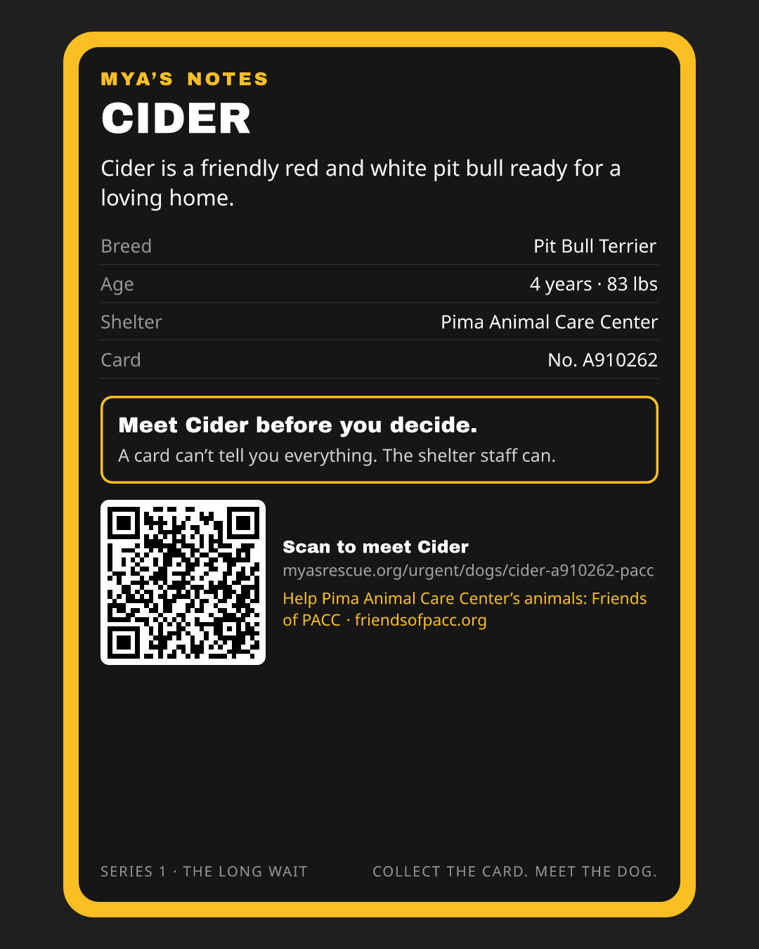 Cider’s trading card, back
