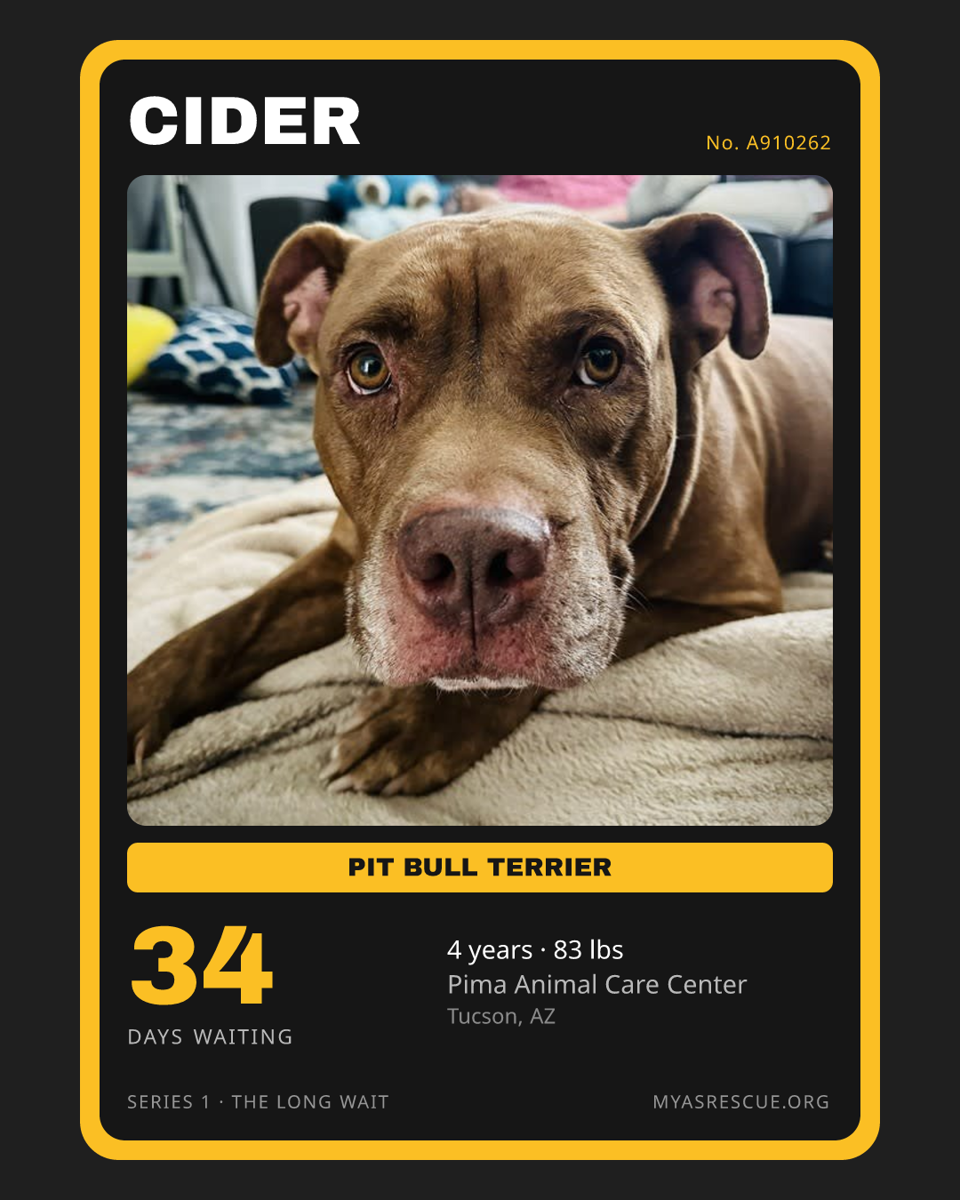 Cider’s trading card, front