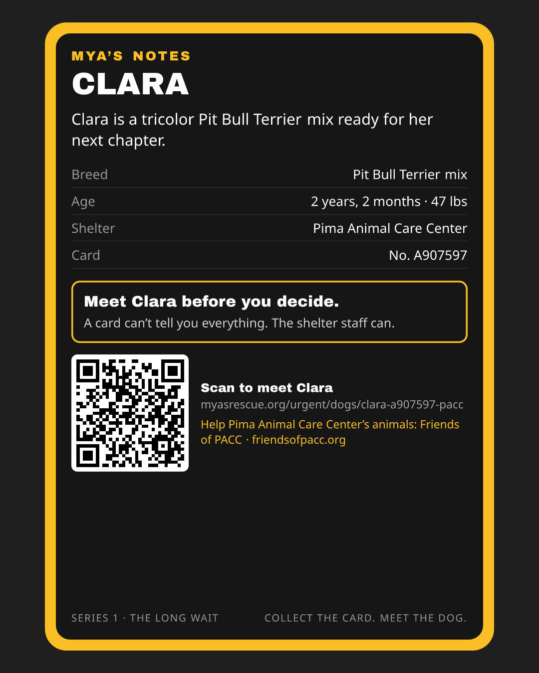 Clara’s trading card, back
