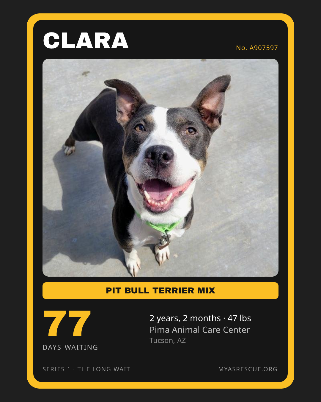 Clara’s trading card, front