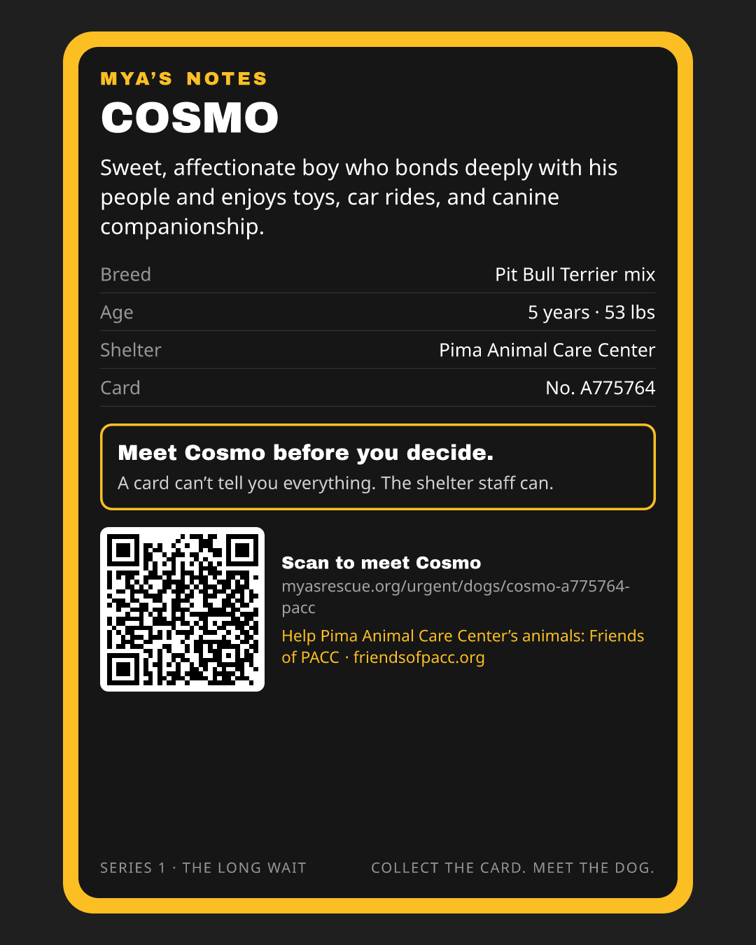 Cosmo’s trading card, back