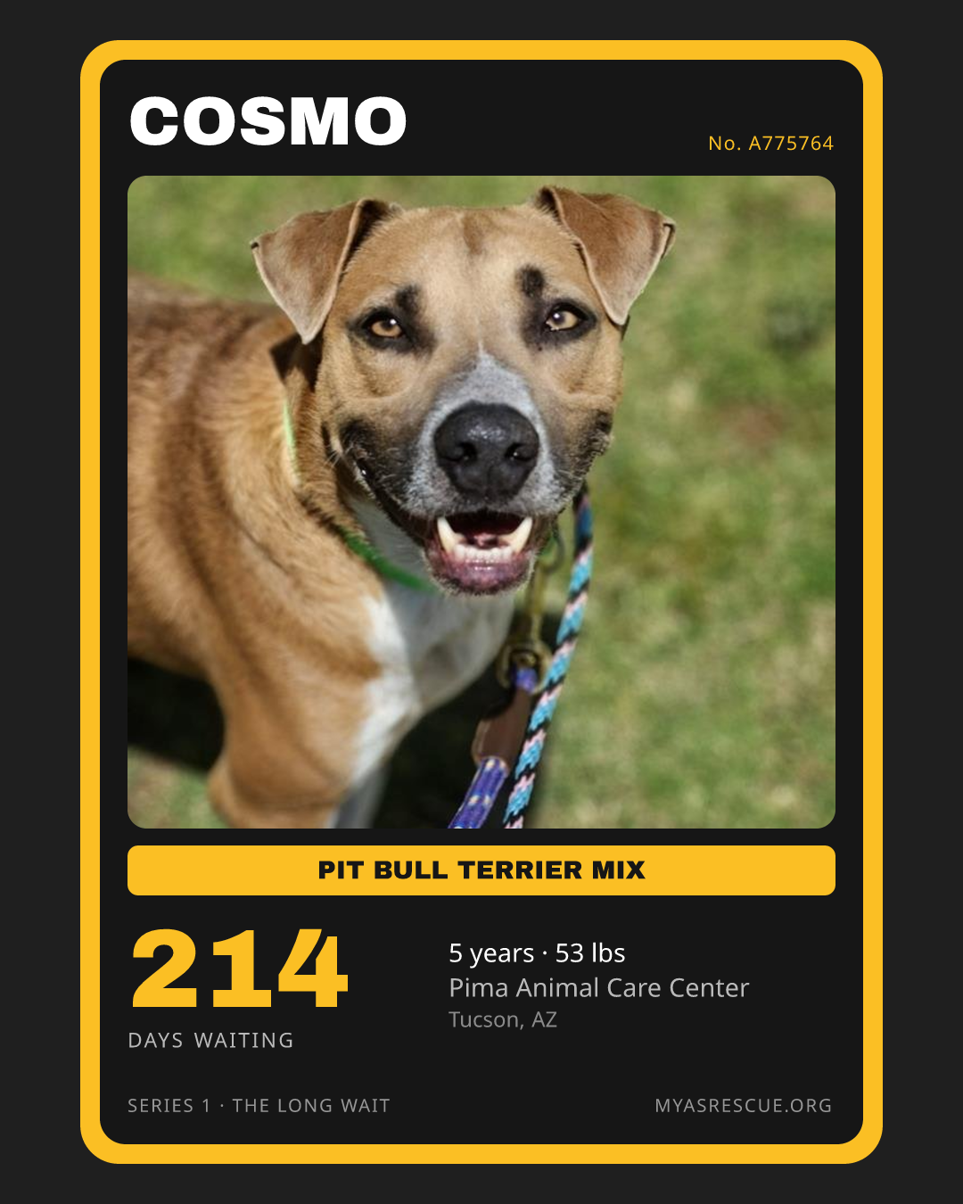 Cosmo’s trading card, front