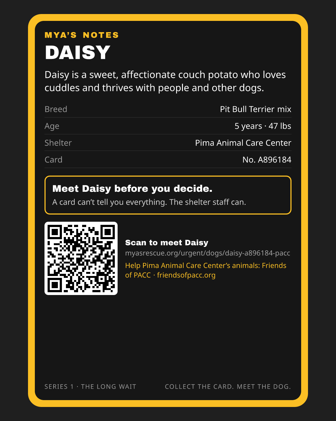 Daisy’s trading card, back