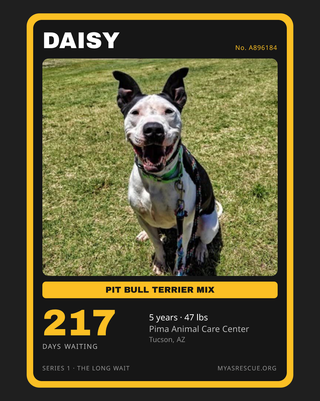 Daisy’s trading card, front