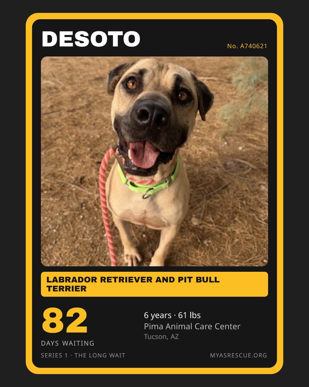 Desoto’s trading card, front