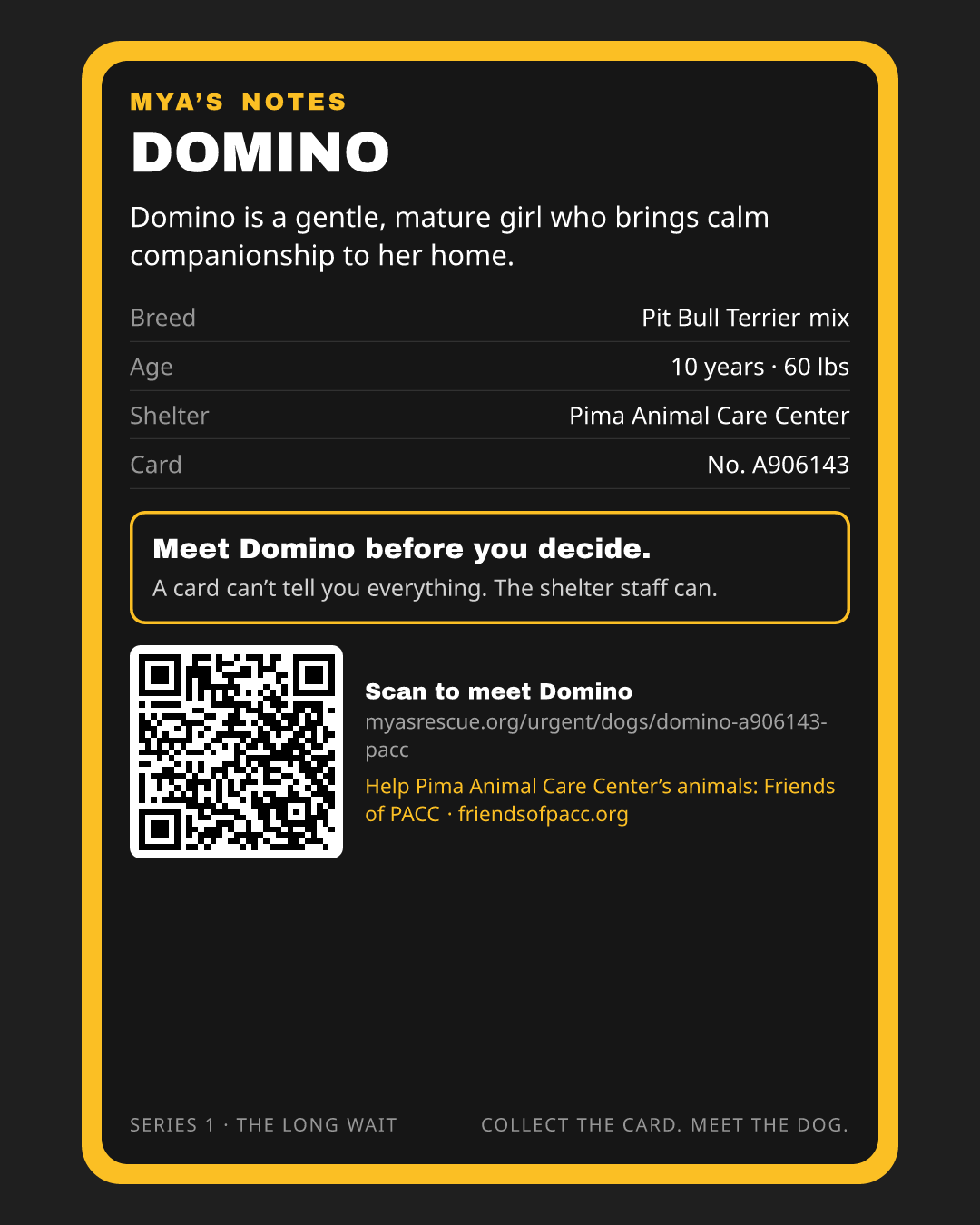 Domino’s trading card, back