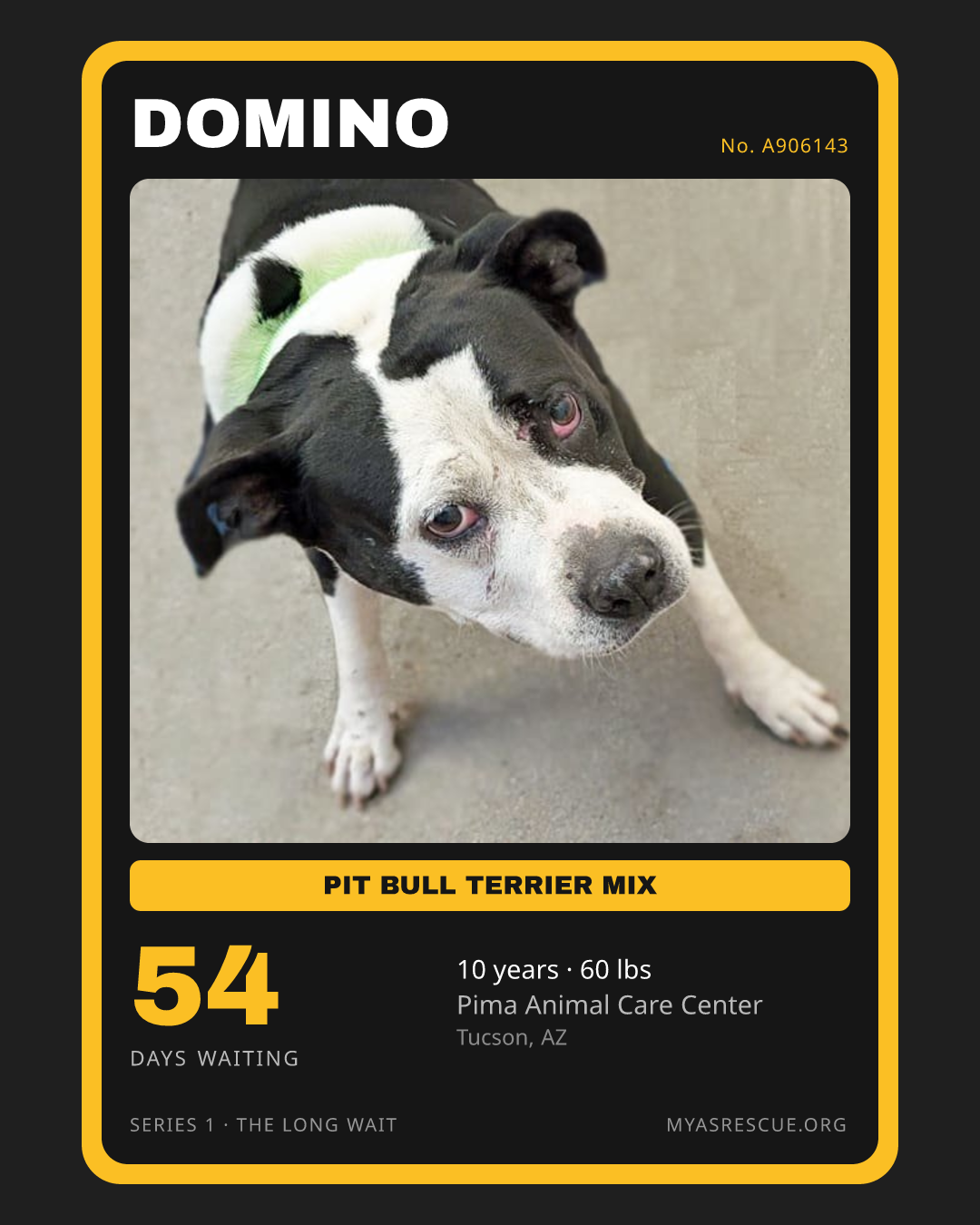 Domino’s trading card, front