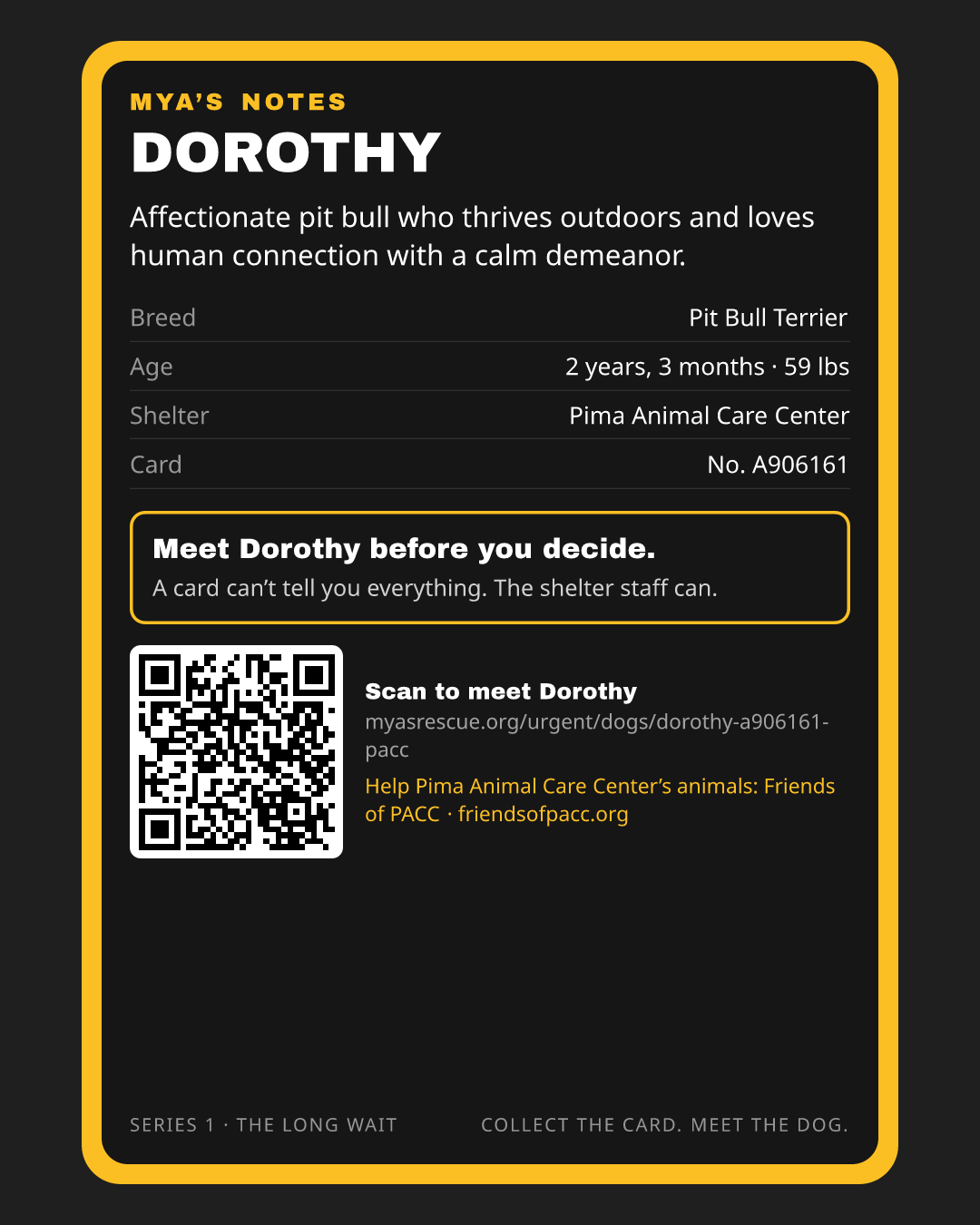 Dorothy’s trading card, back