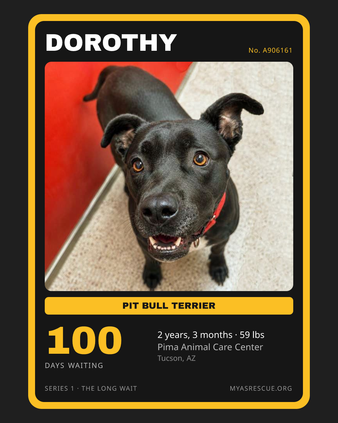 Dorothy’s trading card, front