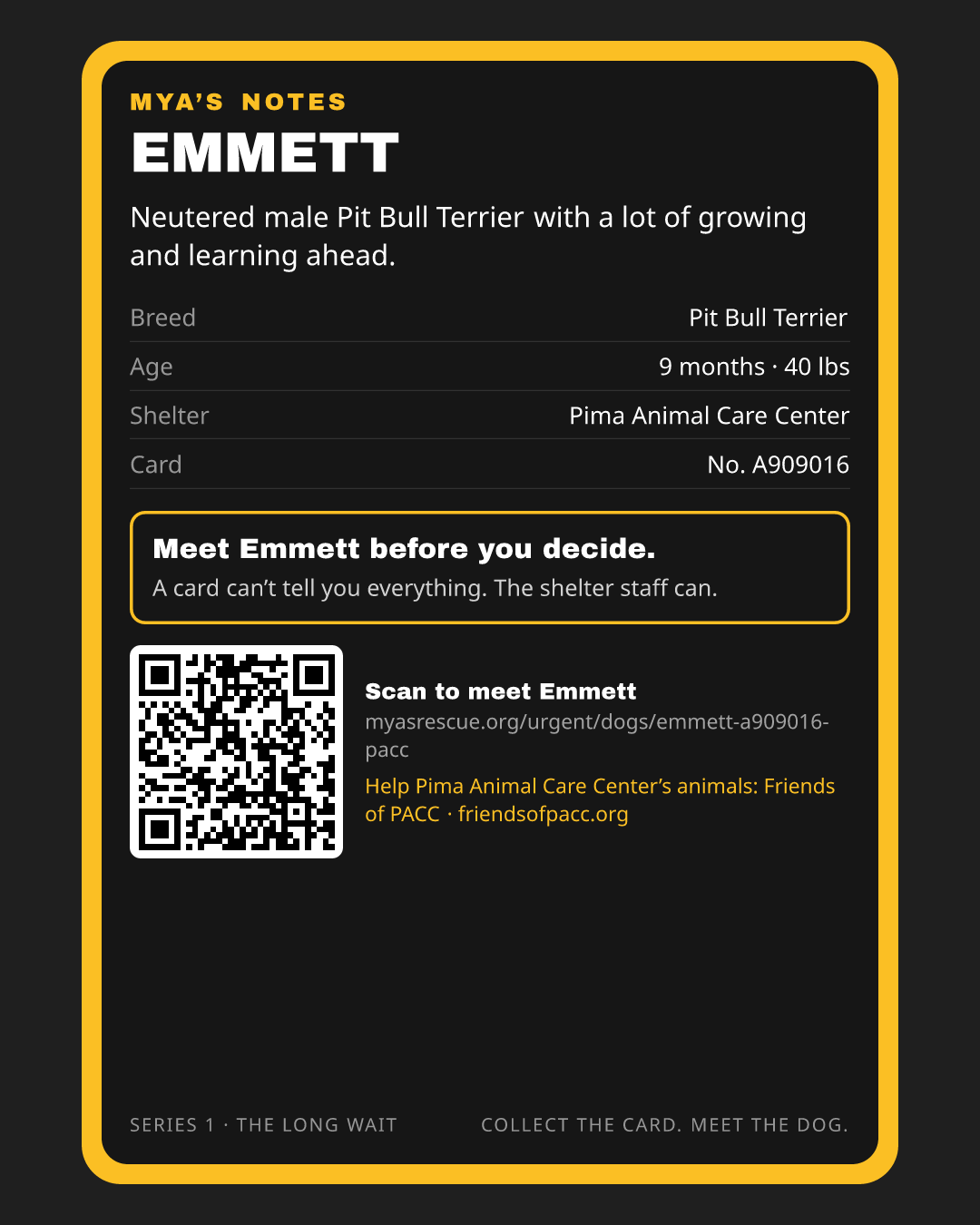 Emmett’s trading card, back
