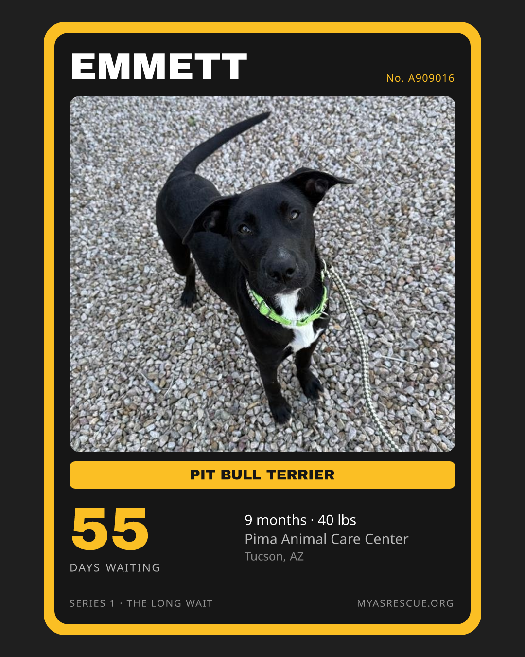 Emmett’s trading card, front