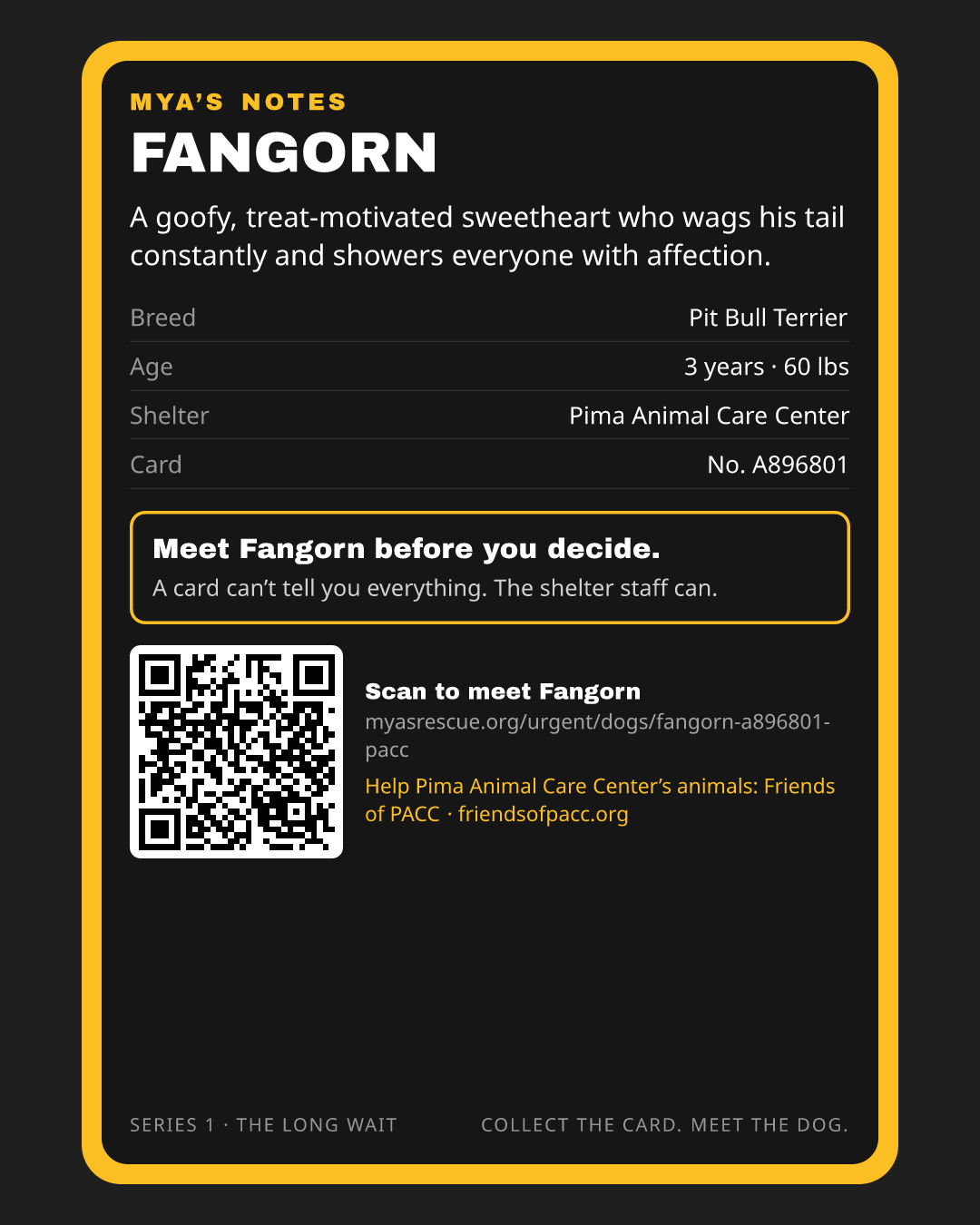Fangorn’s trading card, back