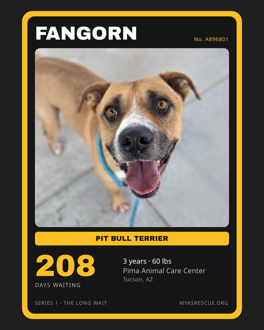 Fangorn’s trading card, front