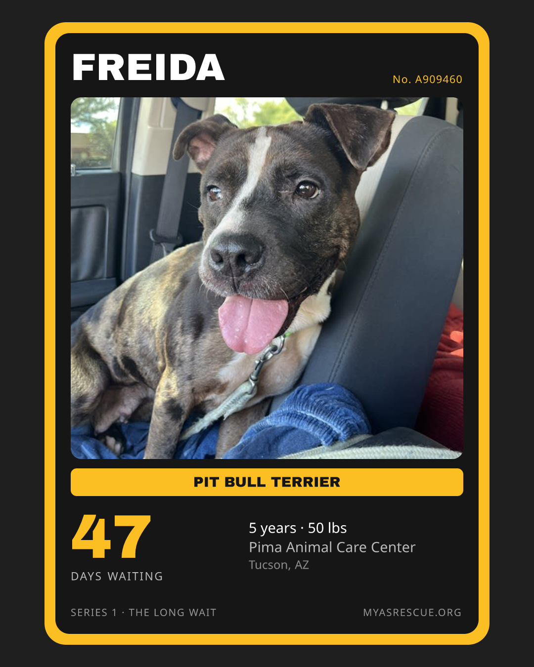 Freida’s trading card, front