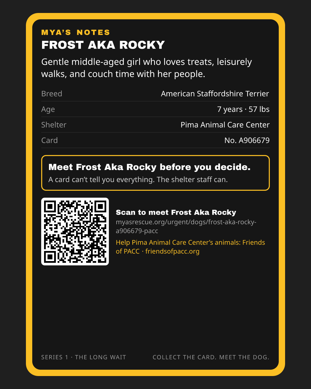 Frost Aka Rocky’s trading card, back