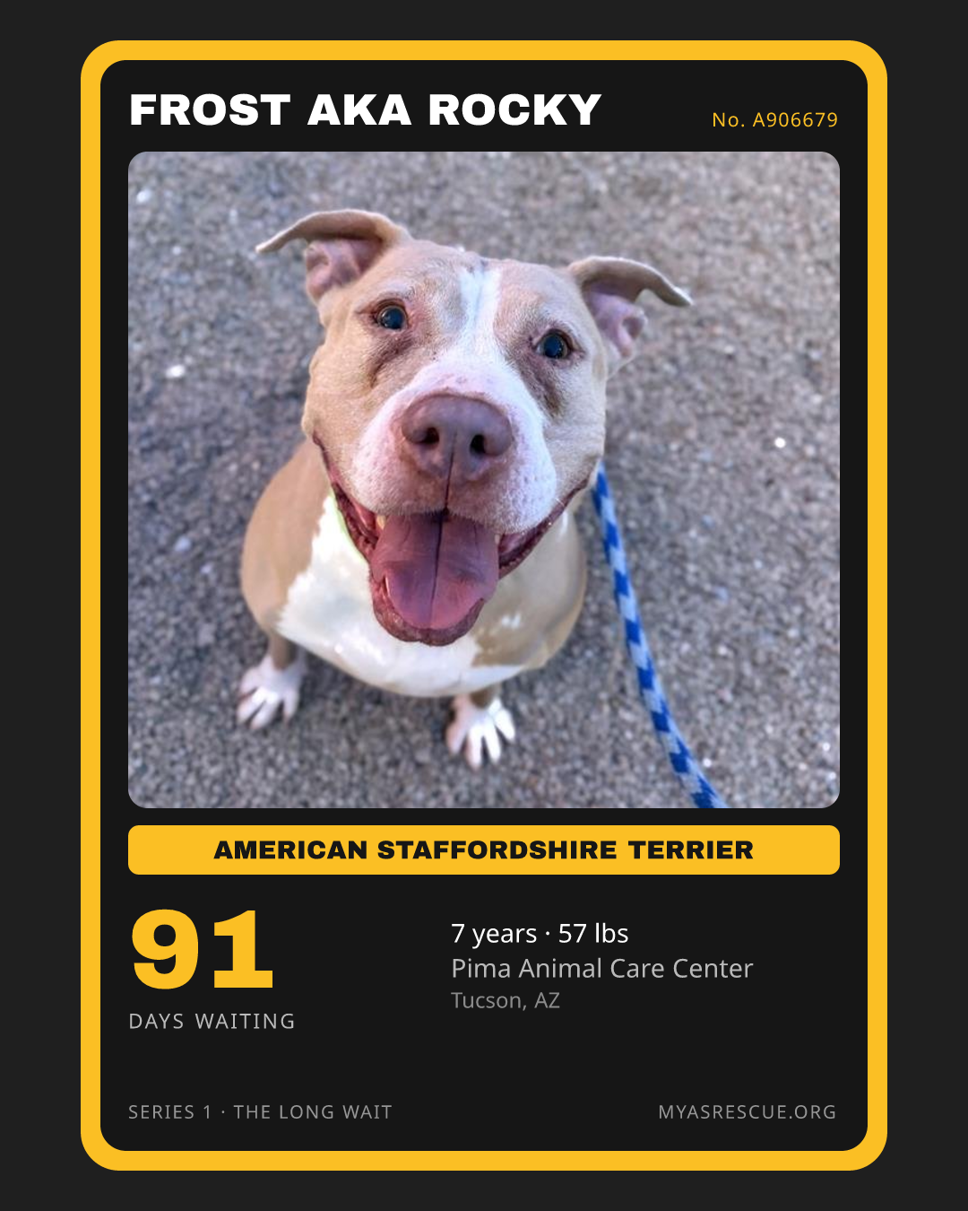 Frost Aka Rocky’s trading card, front