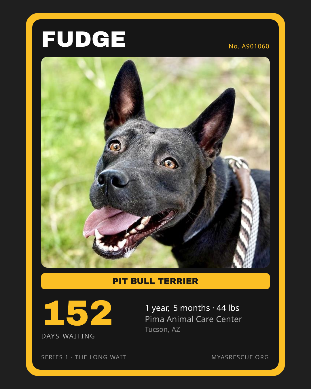 Fudge’s trading card, front