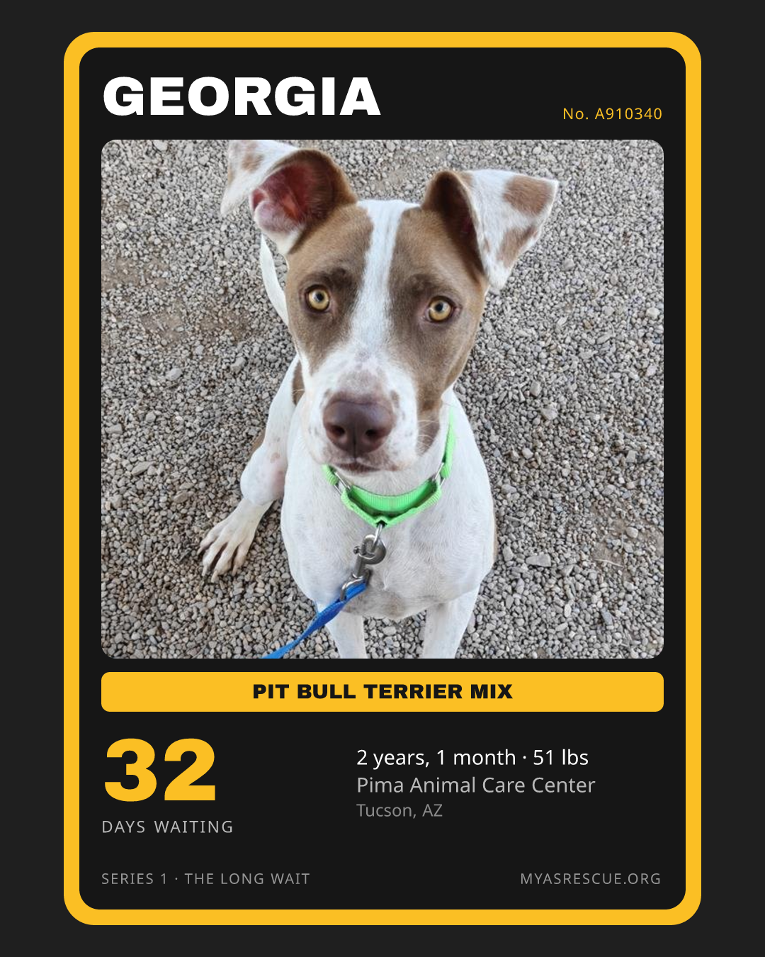 Georgia’s trading card, front